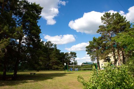 Сосновый бор