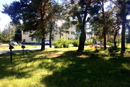 Сосновый бор