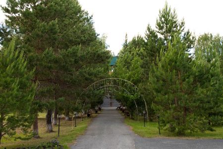 Сосновый бор