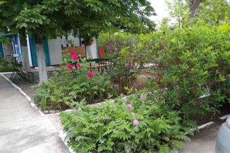 территория (3)