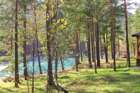 Внешний вид