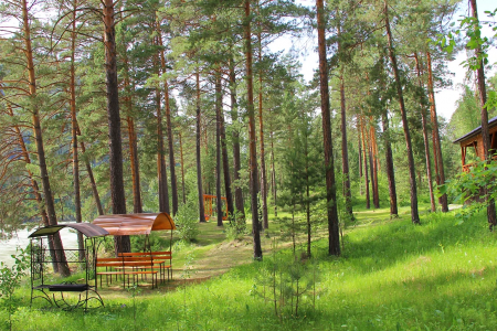 Внешний вид