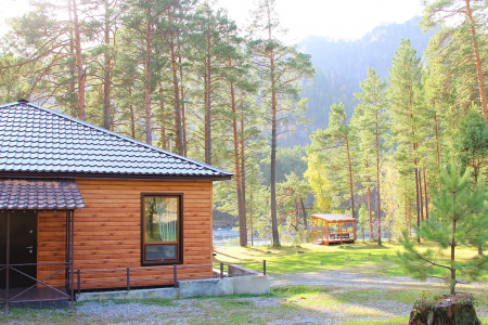 Внешний вид