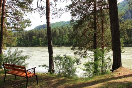 Внешний вид