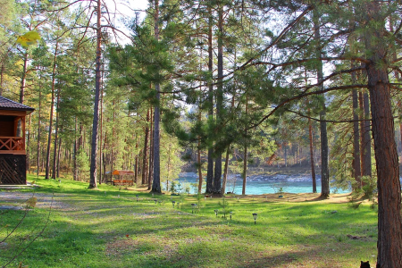 Внешний вид