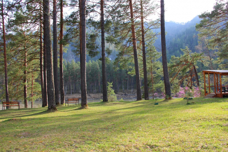 Внешний вид