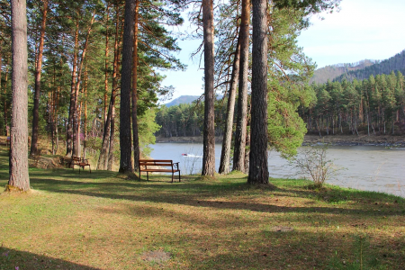 Внешний вид