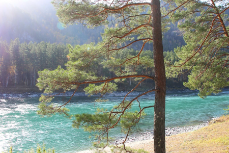 Внешний вид