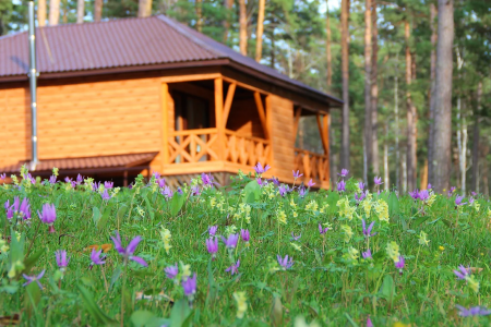 Внешний вид