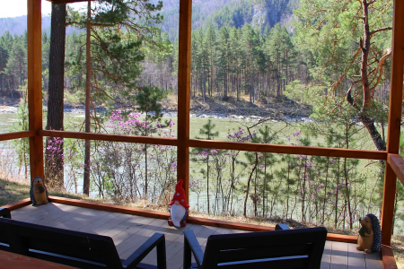 Внешний вид