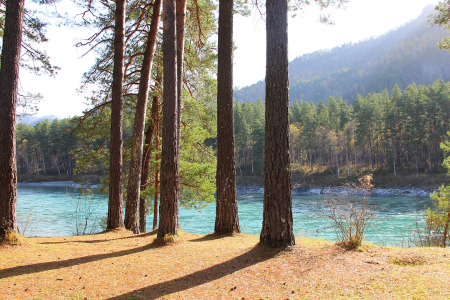 Территория