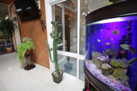 Внешний вид