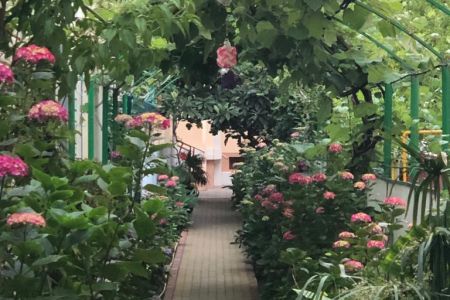 Внешний вид