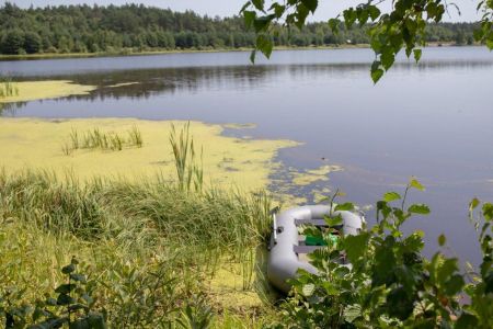 Внешний вид