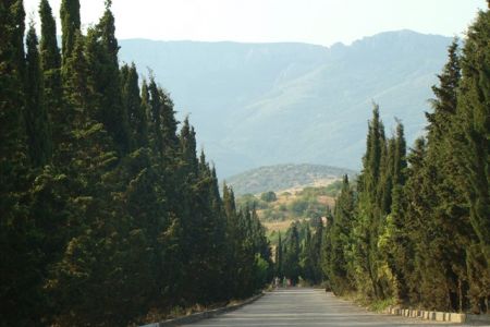 корпус дом охотника