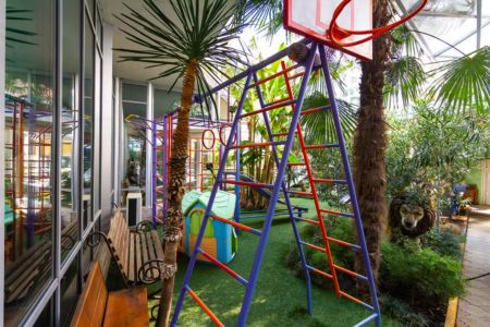 Внешний вид