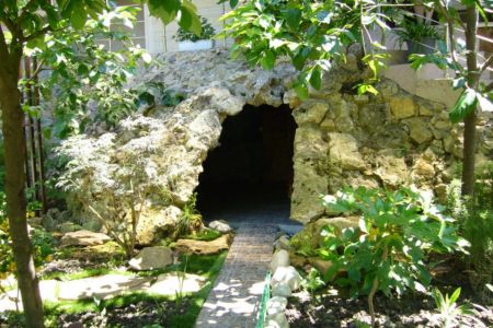 Внешний вид