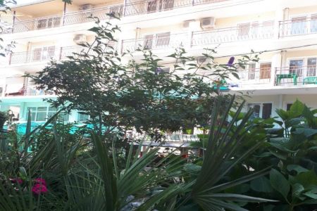 АлеАндр (Н.Хобза)