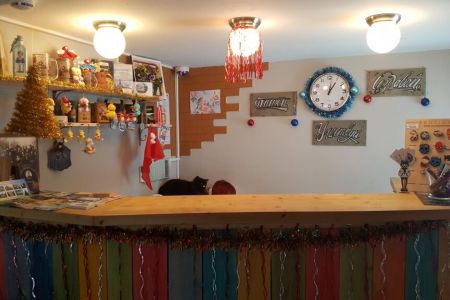 Внешний вид