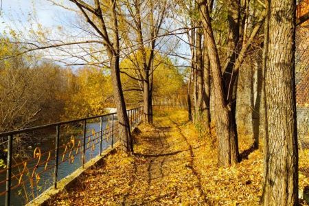 Ручеек база отдыха