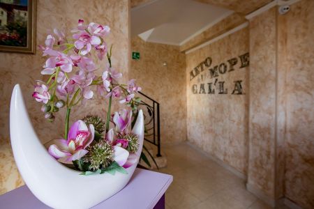 Внешний вид