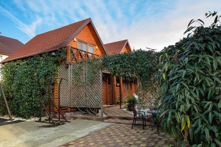 Внешний вид