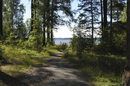 Коттедж 10-местный