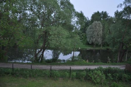 Внешний вид