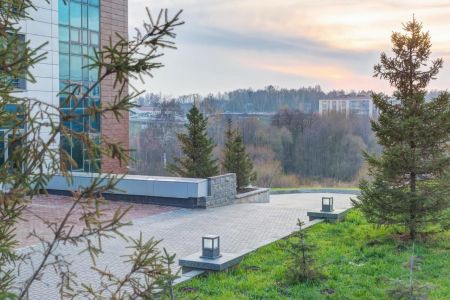 Внешний вид