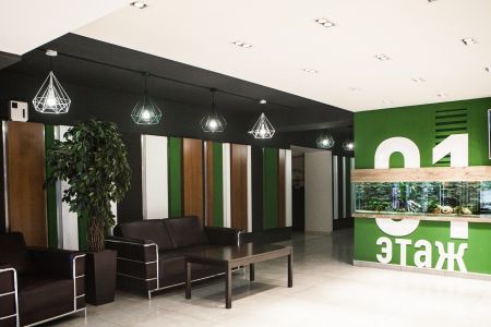 Внешний вид