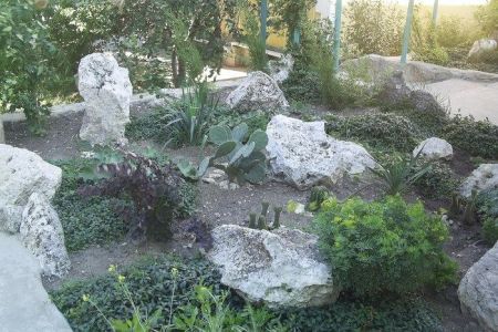 Внешний вид