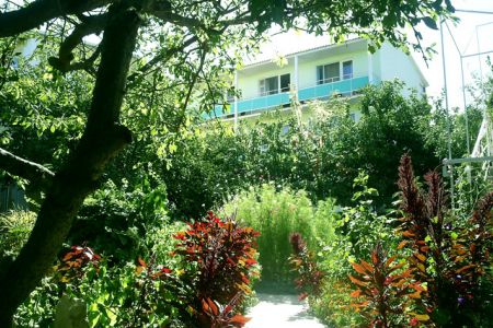 Внешний вид