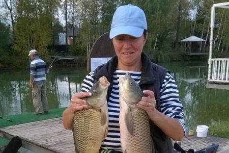 Внешний вид