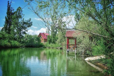 территория (2)