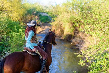 территория (2)