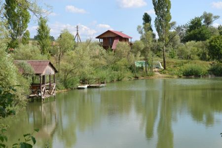 территория (2)