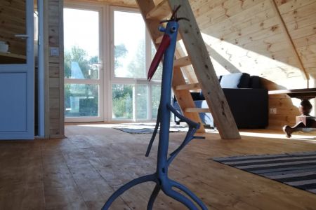 территория (2)