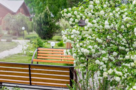 Территория