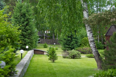 Территория