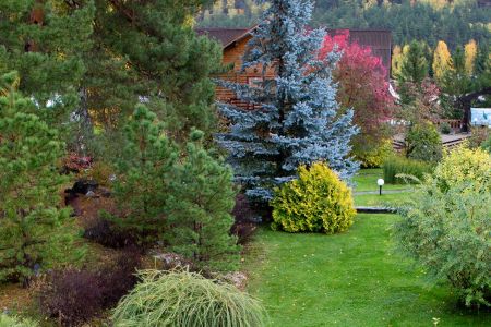 Территория