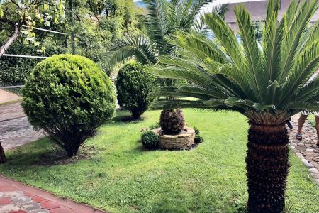 Территория