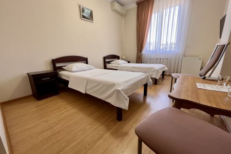 Стандарт TWIN