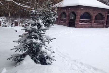 Внешний вид