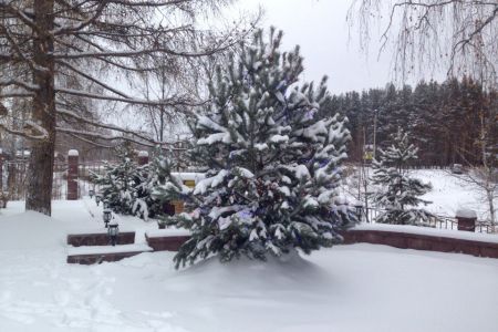 Внешний вид