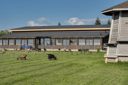 Внешний вид