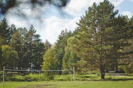 Территория