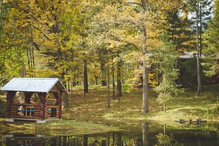 Территория