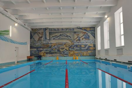 Внешний вид