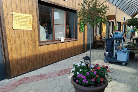 Территория