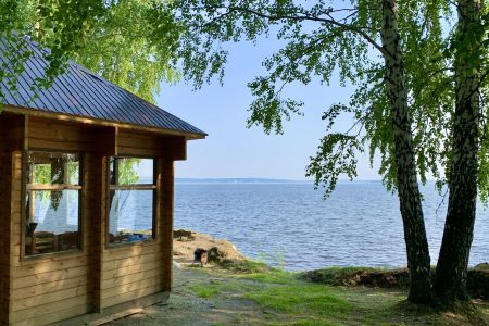 Внешний вид